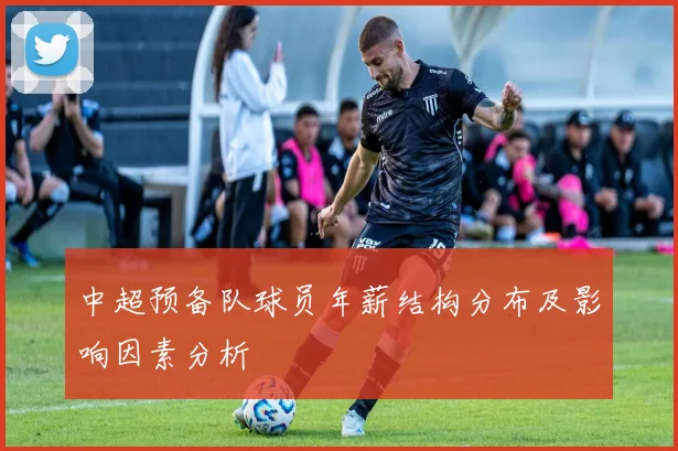 中超预备队球员年薪结构分布及影响因素分析