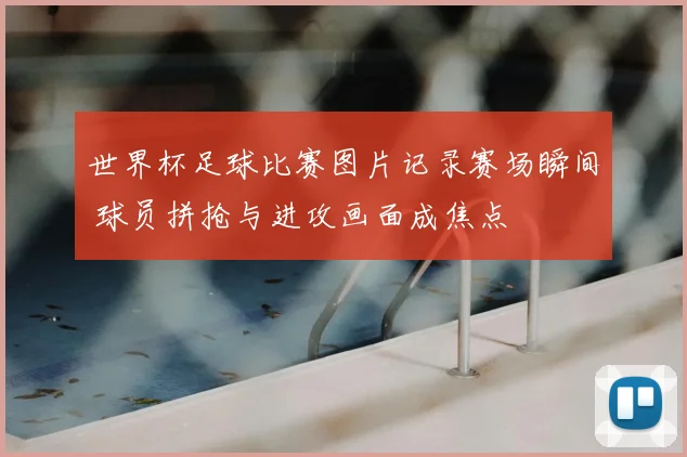 世界杯足球比赛图片记录赛场瞬间 球员拼抢与进攻画面成焦点
