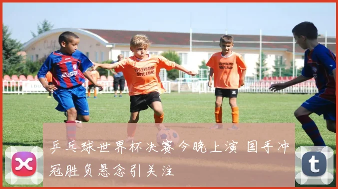 乒乓球世界杯决赛今晚上演 国手冲冠胜负悬念引关注
