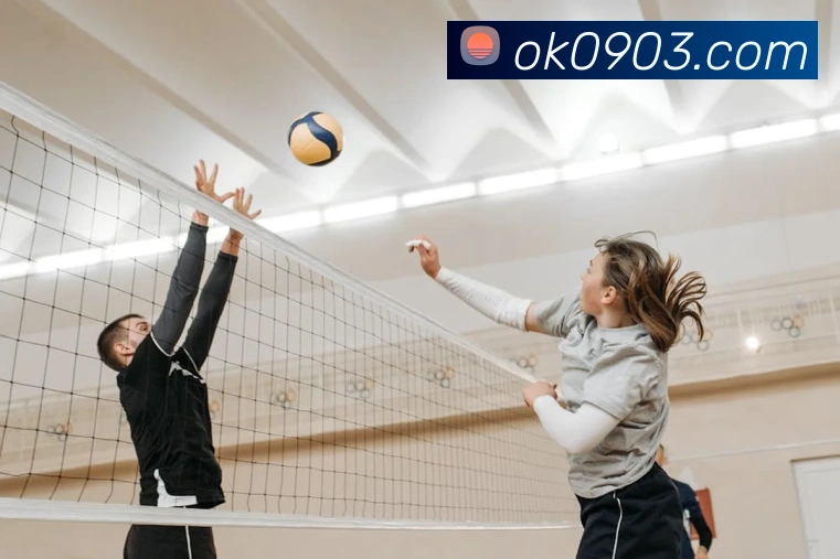 世界杯官网登录app服务体系