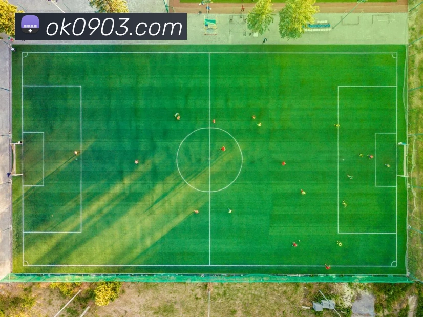 多媒体互动体验