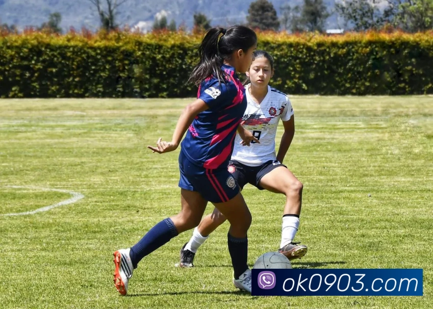 世界杯官网登录appAPP 体育赛事宣传图